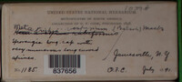 Image Associated With the Occurence